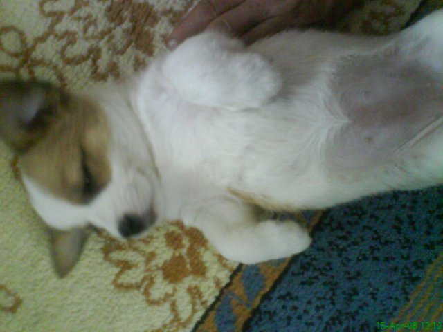 DSC00338.JPG, 208 KB